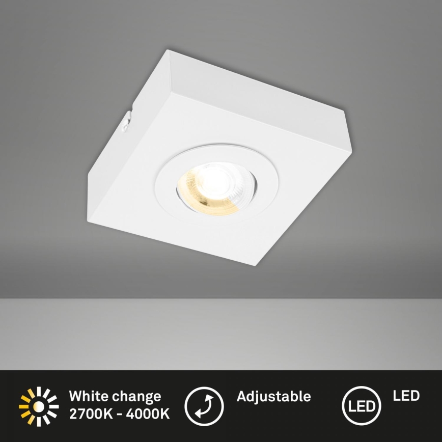 Briloner 3996016 - LED Oświetlenie punktowe CTS LED/4W/230V 2700/4000K biały