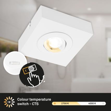 Briloner 3996016 - LED Oświetlenie punktowe CTS LED/4W/230V 2700/4000K biały