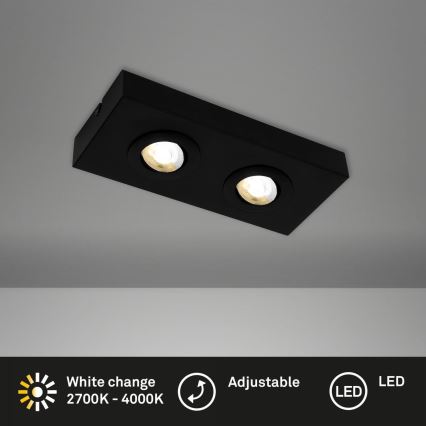 Briloner 3996025 - LED Oświetlenie punktowe CTS 2xLED/4W/230V 2700/4000K czarny