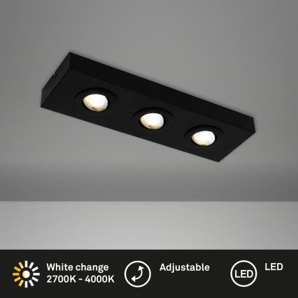 Briloner 3996035 - LED Oświetlenie punktowe CTS 3xLED/4W/230V 2700/4000K czarny