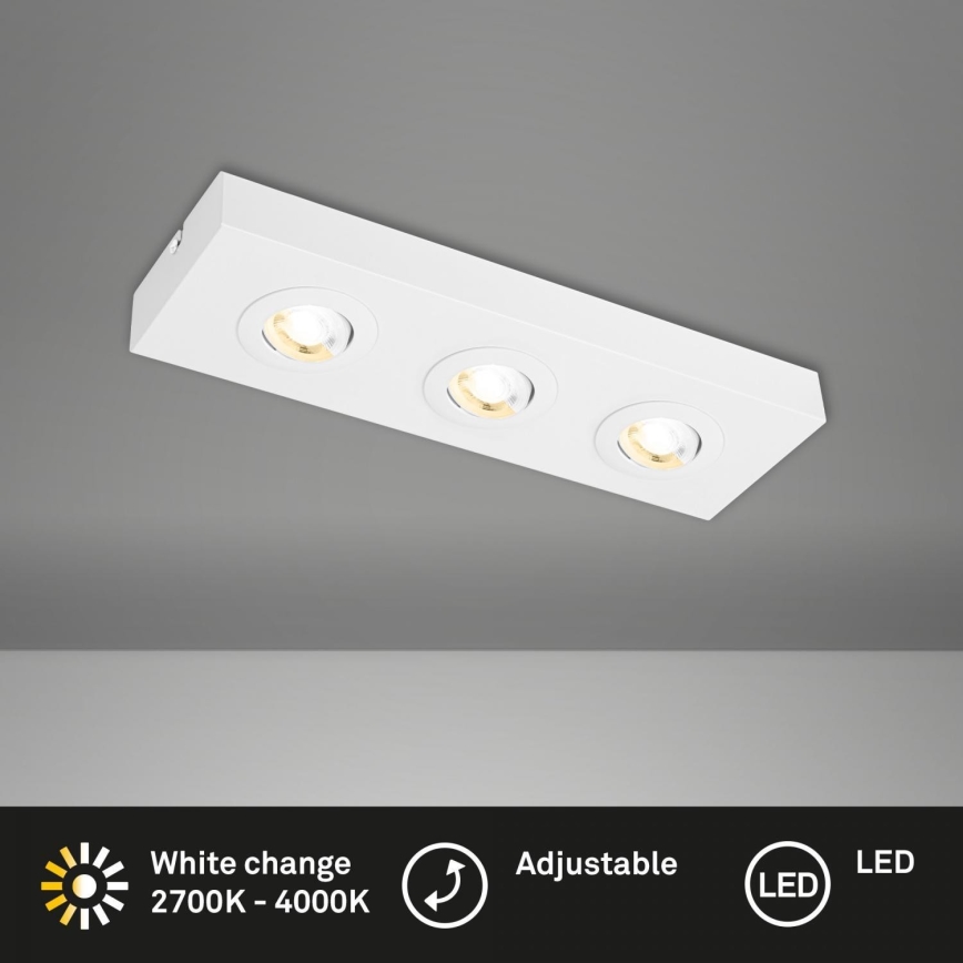 Briloner 3996036 - LED Oświetlenie punktowe CTS 3xLED/4W/230V 2700/4000K biały