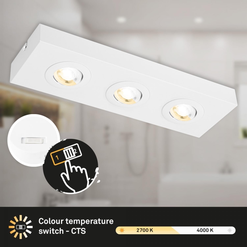 Briloner 3996036 - LED Oświetlenie punktowe CTS 3xLED/4W/230V 2700/4000K biały