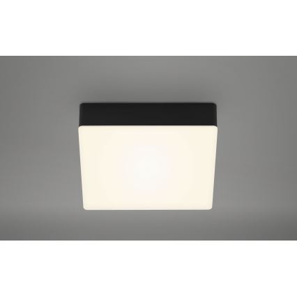 Briloner 7069-015 - LED Plafon LED/11W/230V czarny