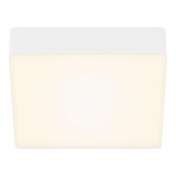 Briloner 7069-016 - LED Plafon LED/11W/230V biały