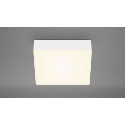 Briloner 7069-016 - LED Plafon LED/11W/230V biały