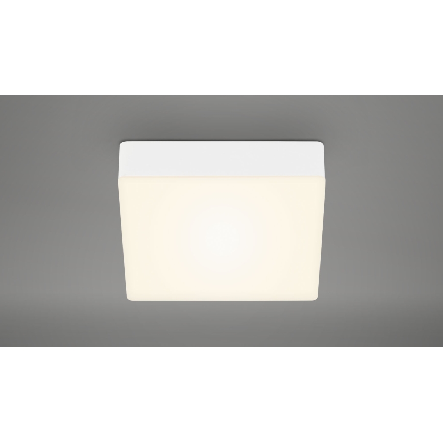 Briloner 7069-016 - LED Plafon LED/11W/230V biały