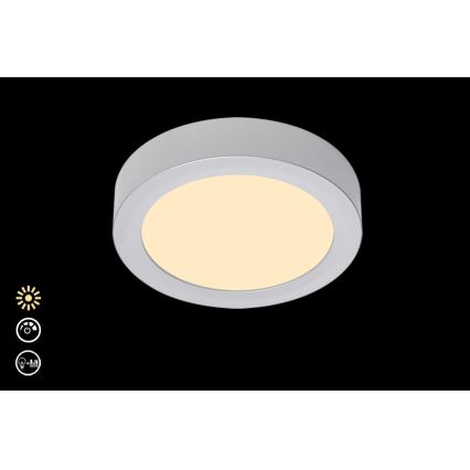 Briloner 7124-014 - LED Ściemnialny plafon FIRE LED/12W/230V 3000K