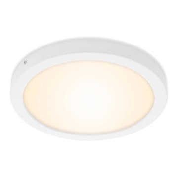 Briloner 7141-016 - LED Plafon FIRE LED/21W/230V