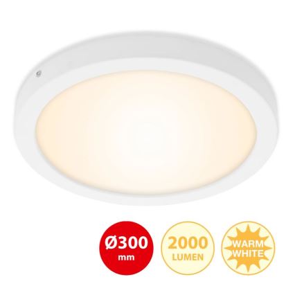 Briloner 7141-016 - LED Plafon FIRE LED/21W/230V