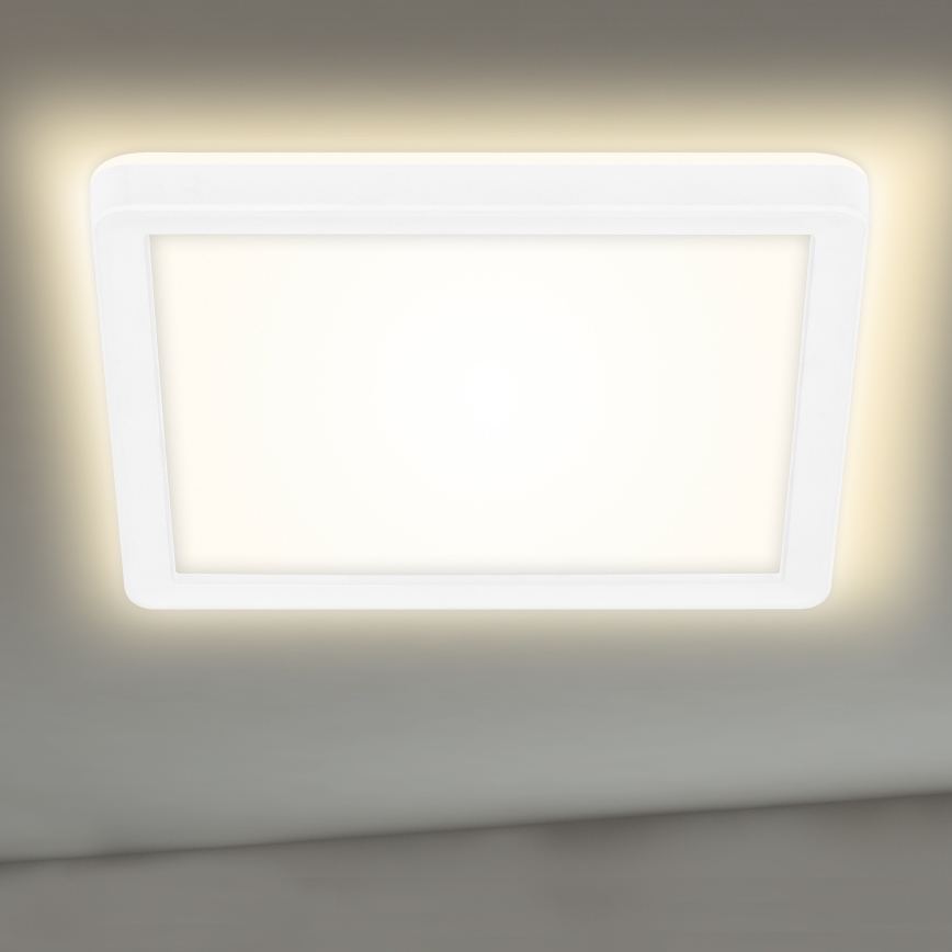 Briloner 7153-416 - LED Plafon SLIM LED/12W/230V