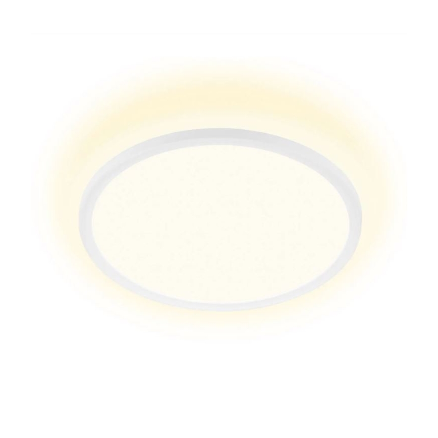 Briloner 7155-416 - LED Plafon SLIM LED/18W/230V