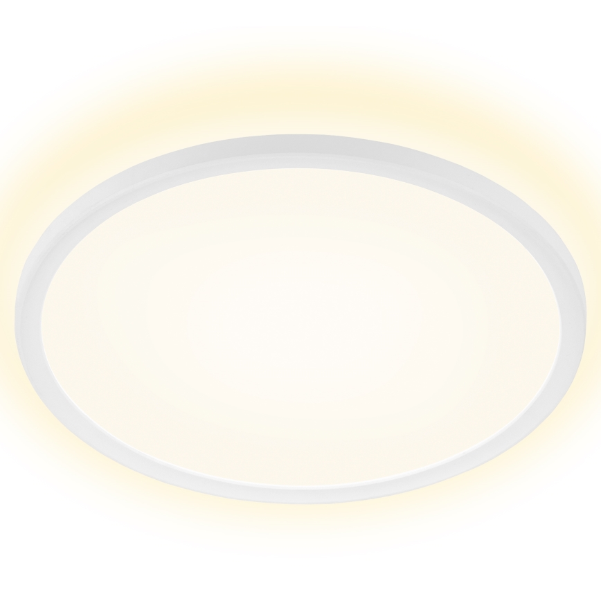 Briloner 7157-416 - LED Plafon SLIM LED/22W/230V śr. 42 cm