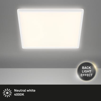 Briloner 7158-416 - LED Plafon SLIM LED/22W/230V 42x42 cm