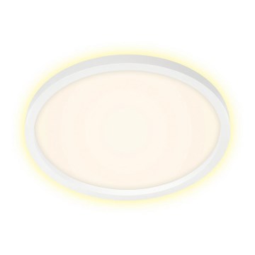 Briloner 7363-016 - LED Plafon CADRE LED/22W/230V d. 42,5 cm biały