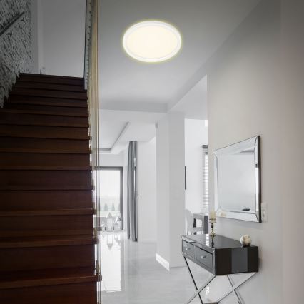 Briloner 7363-016 - LED Plafon CADRE LED/22W/230V d. 42,5 cm biały