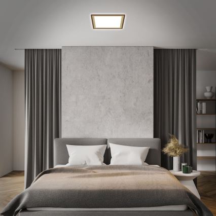 Briloner 7459-417 - LED Plafon ściemnialny DECO LED/24W/230V 2700-6500K + pilot zdalnego sterowania