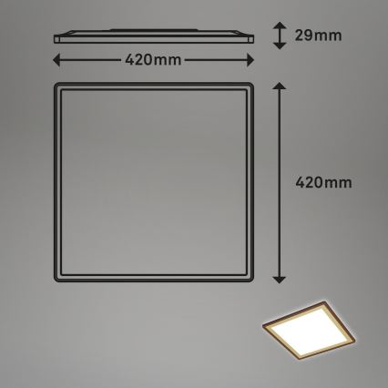 Briloner 7459-417 - LED Plafon ściemnialny DECO LED/24W/230V 2700-6500K + pilot zdalnego sterowania