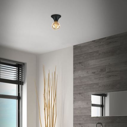 Briloner - Lampa sufitowa łazienkowa 1xE27/10W/230V IP44 czarna