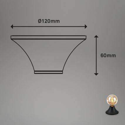 Briloner - Lampa sufitowa łazienkowa 1xE27/10W/230V IP44 czarna