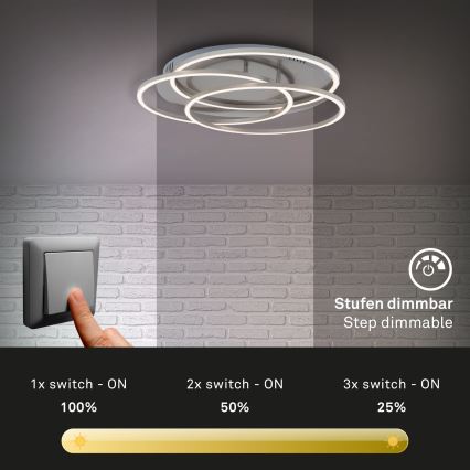 Briloner - LED Plafon ściemnialny FRAMES LED/60W/230V matowy chrom