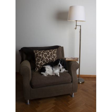 ByRydens - LED Lampa podłogowa ORLANDO 1xE27/5W/230V + LED/3W biały/brąz śr. 36 cm