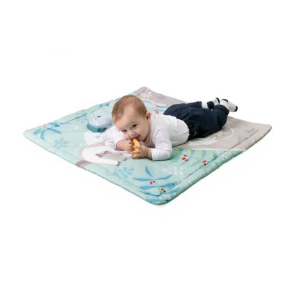 Chicco - Kocyk dziecięcy do zabawy 2w1 3xAAA sówka