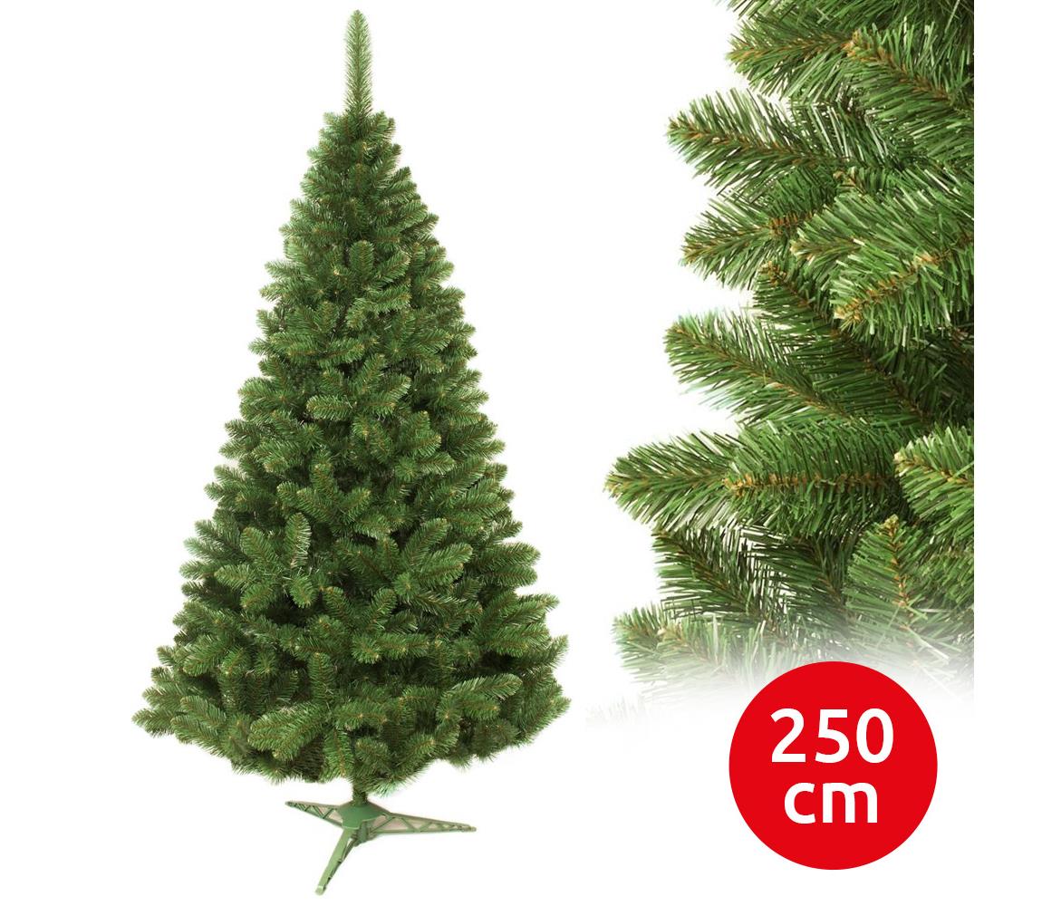 Choinka bożonarodzeniowa 250 cm jodła