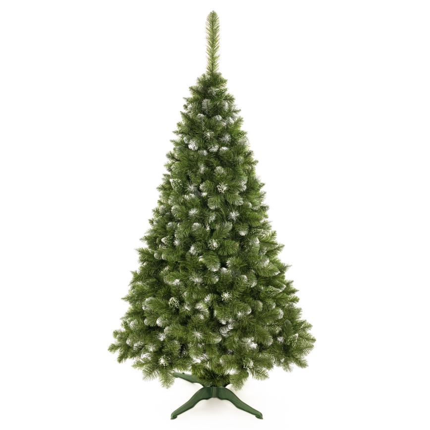 Choinka bożonarodzeniowa 250 cm sosna