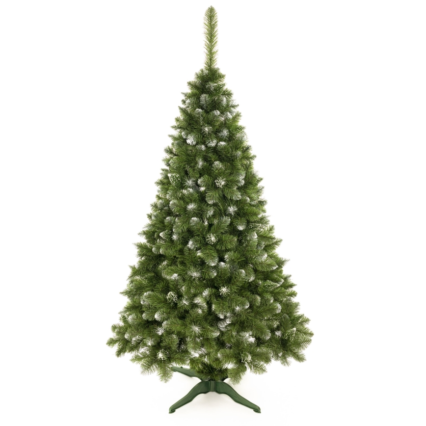 Choinka bożonarodzeniowa 250 cm sosna