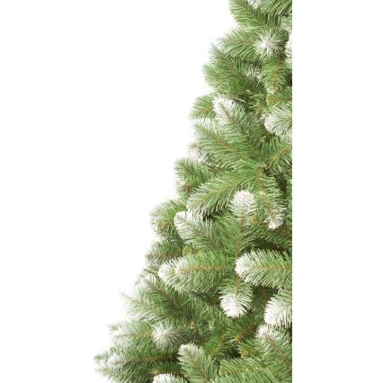 Choinka bożonarodzeniowa 250 cm sosna