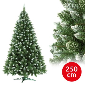 Choinka bożonarodzeniowa 250 cm sosna