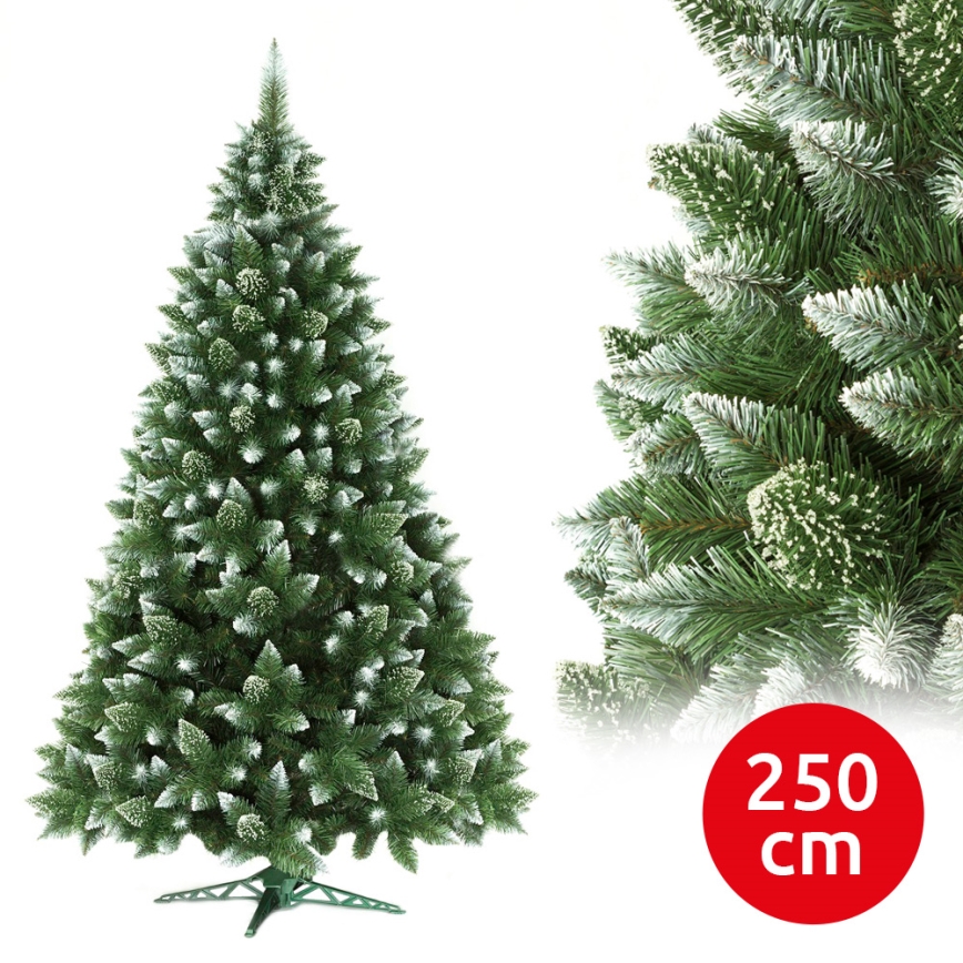 Choinka bożonarodzeniowa 250 cm sosna
