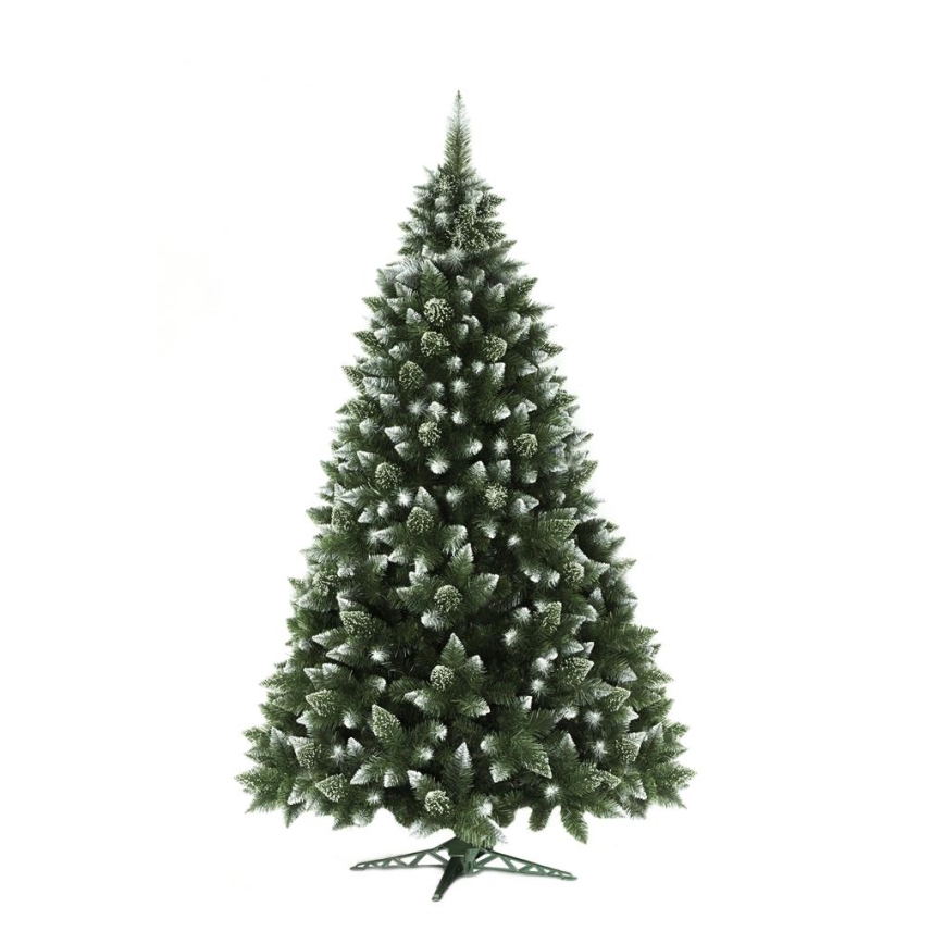 Choinka bożonarodzeniowa 250 cm sosna