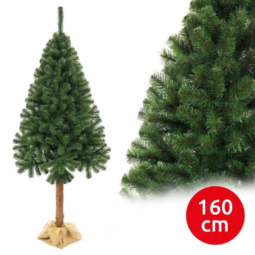 Choinka bożonarodzeniowa na pniu 160 cm jodła