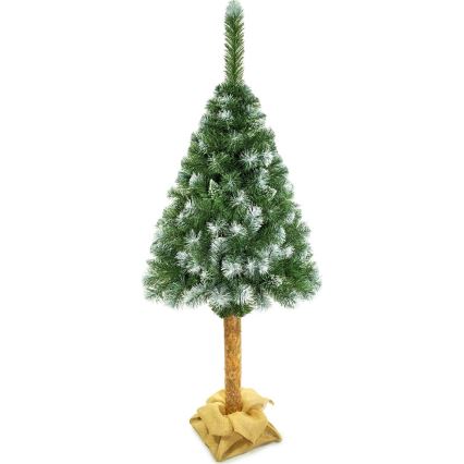 Choinka bożonarodzeniowa na pniu 180 cm sosna