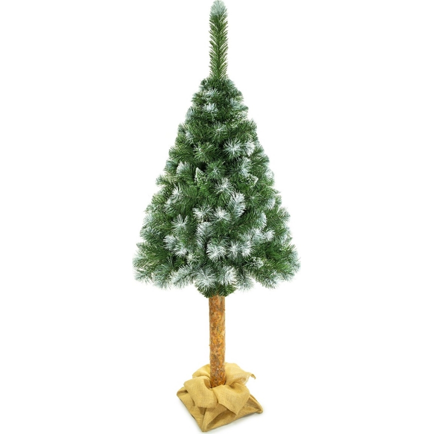 Choinka bożonarodzeniowa na pniu 180 cm sosna