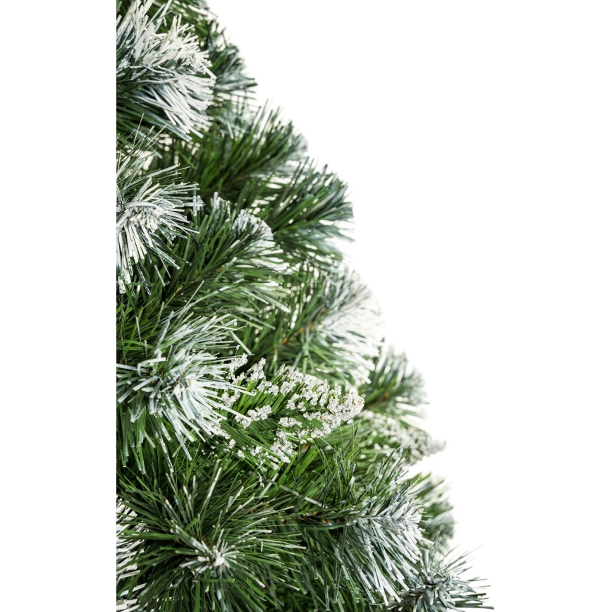 Choinka bożonarodzeniowa na pniu 180 cm sosna