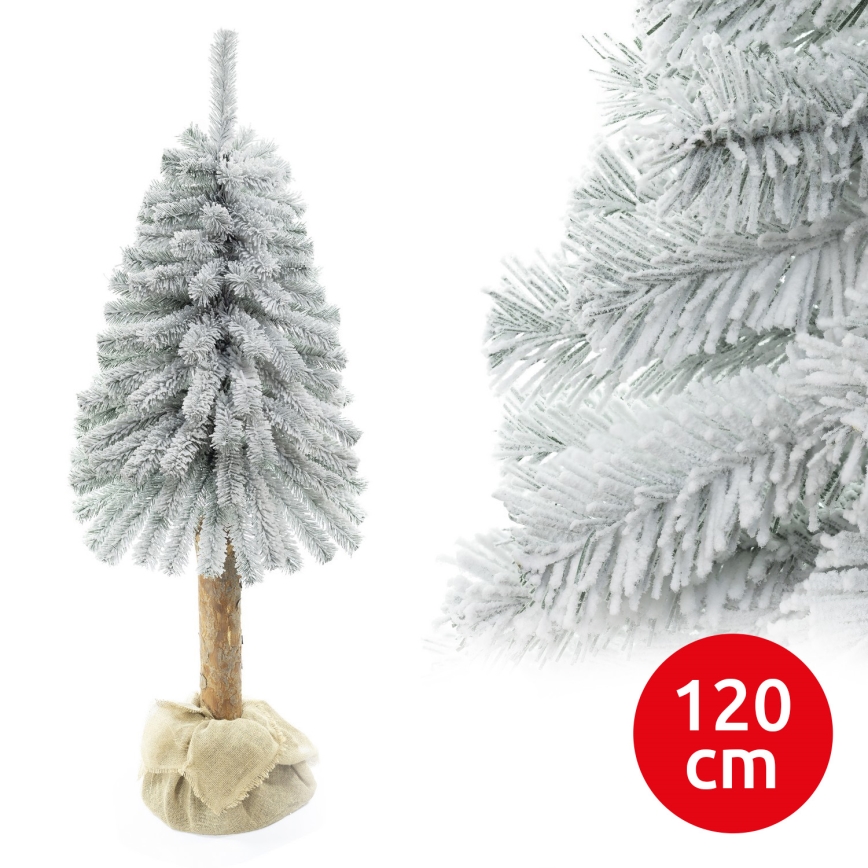 Choinka bożonarodzeniowa na pniu NATURAL WITH SNOW 120 cm jodła