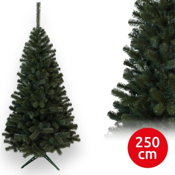 Choinka jodłowa 250 cm