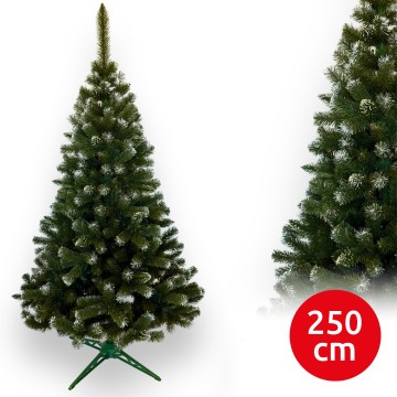 Choinka jodłowa 250 cm