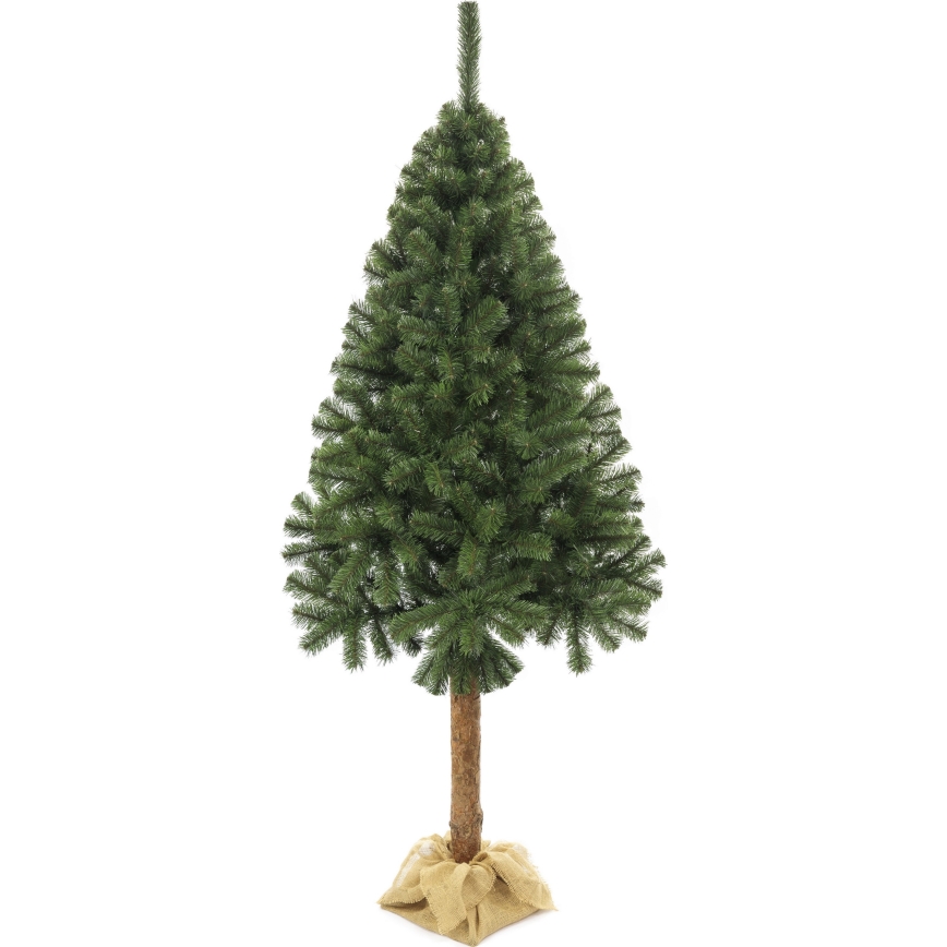 Choinka na pniu 160 cm jodła