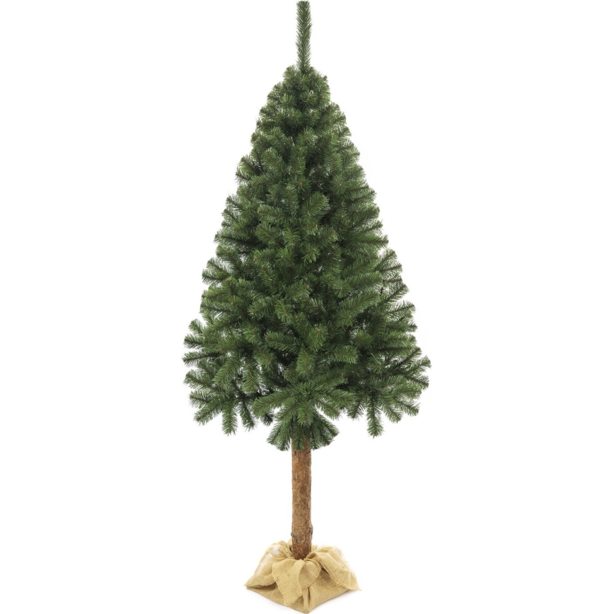 Choinka na pniu 220 cm jodła