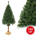 Choinka na pniu 160 cm jodła