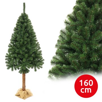 Choinka na pniu 160 cm jodła