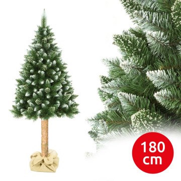 Choinka na pniu 180 cm sosna