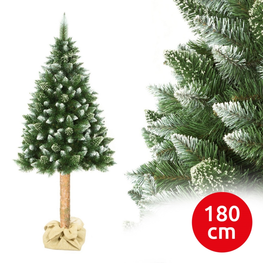 Choinka na pniu 180 cm sosna