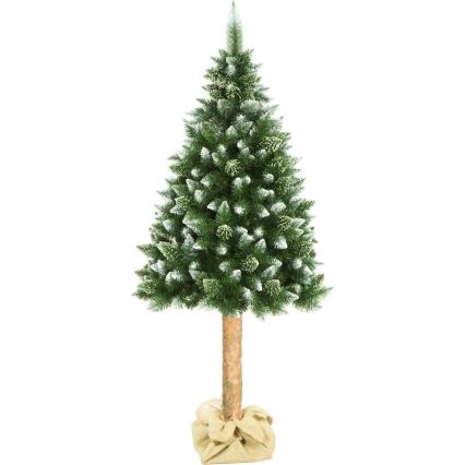 Choinka na pniu 180 cm sosna