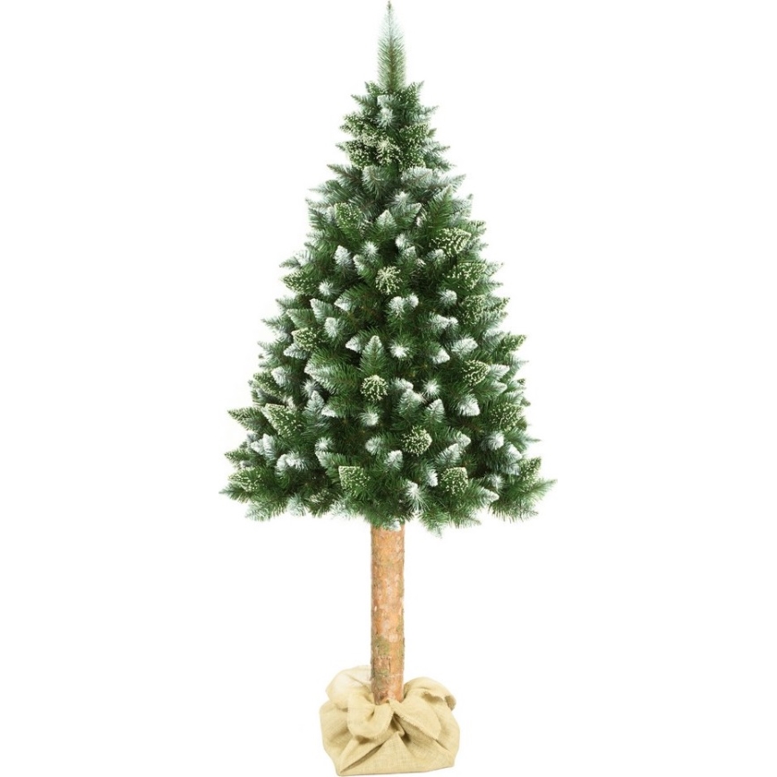 Choinka na pniu 180 cm sosna