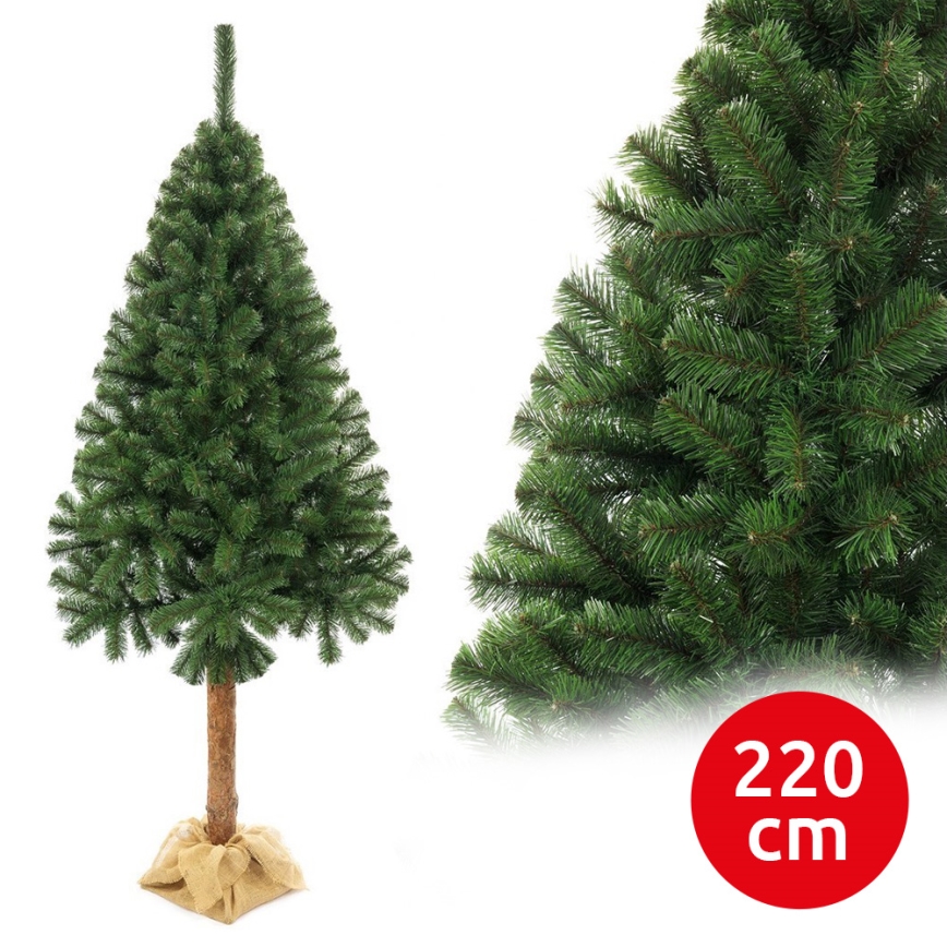 Choinka na pniu 220 cm jodła