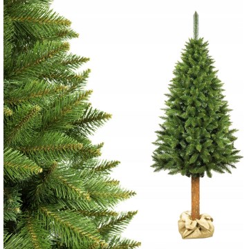 Choinka na pniu 220 cm, świerk